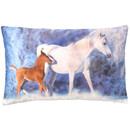 Bild 1 von Kissen mit Pferde-Fotomotiv