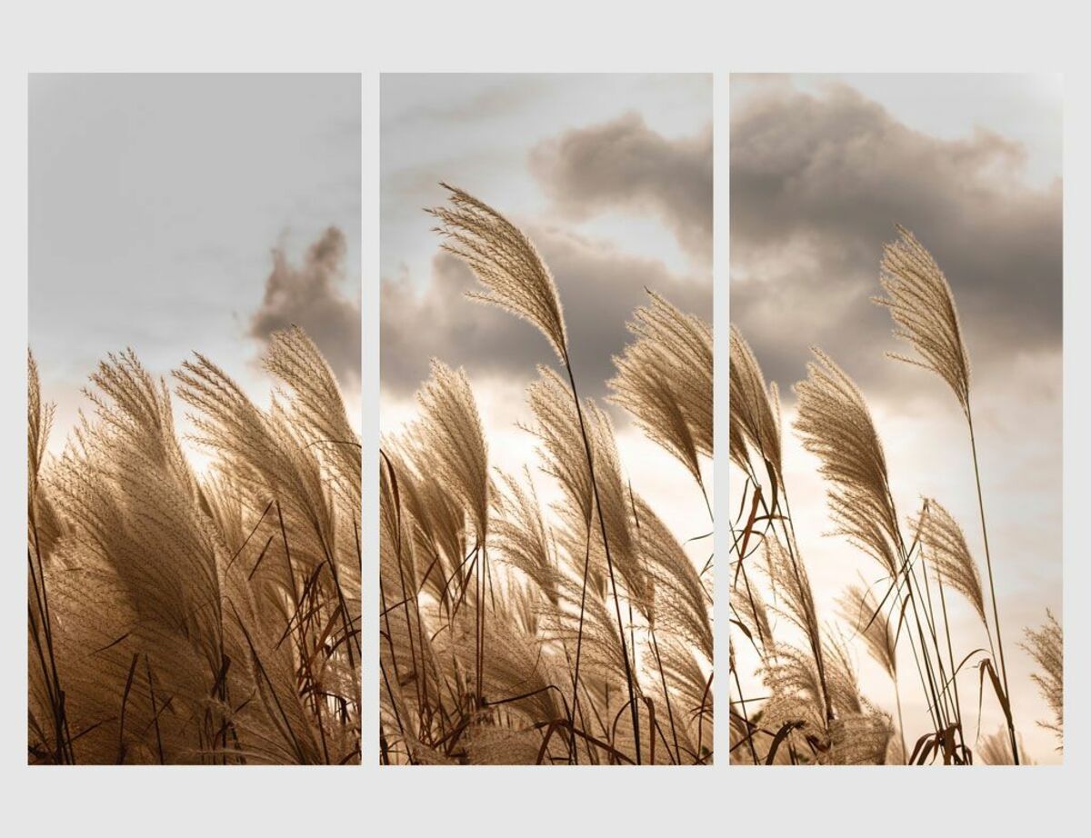 Bild 1 von Wandtattoo Gräser Beige