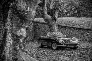 Kollektion Wiedemann Bild &quot;FERRARI 275 GTB II&quot;,...