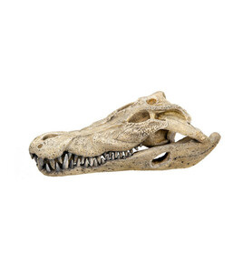 Nobby Aquariumdeko Krokodil Schädel, ca. B26/H9/T14 cm