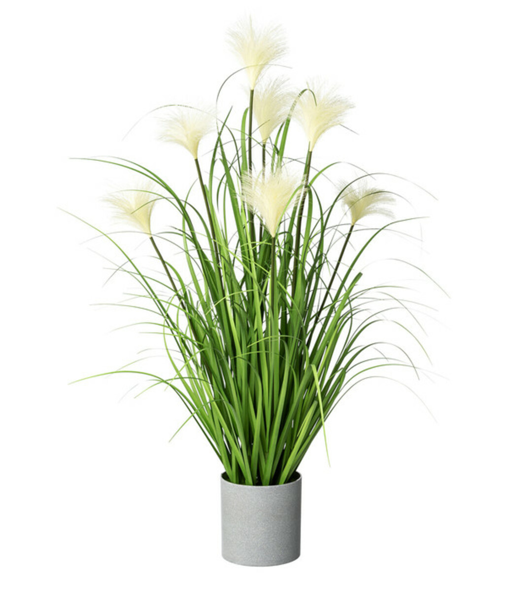 Bild 1 von Gasper Kunstpflanze Riedgras, ca. H76 cm