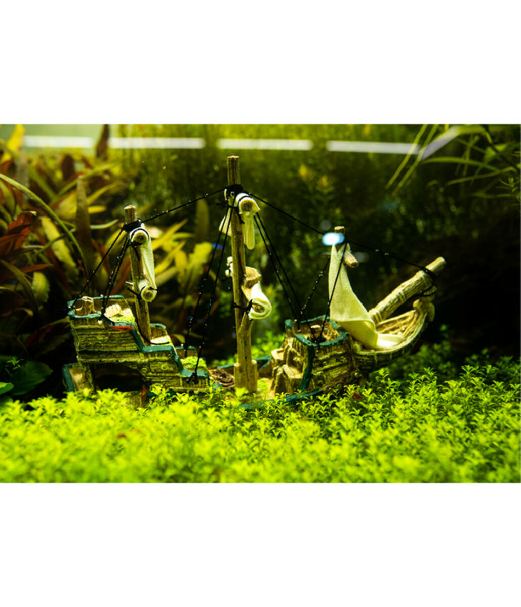 Bild 3 von Nobby Aquariumdeko Schiff, ca. B33/H23/T13 cm