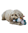 Bild 2 von Dehner Lieblinge Hundespielzeug Snowman, ca. B16/H27/T6 cm