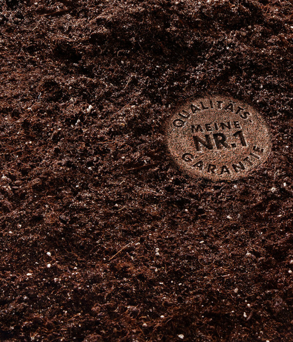 Bild 3 von COMPO CACTEA® Kakteen- und Sukkulentenerde, 5 l