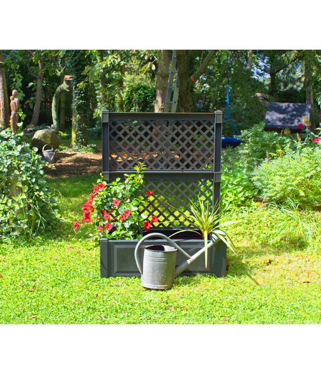 Bild 4 von KHW Kunststoff-Pflanzkasten mit Spalier, 100 x 43 x 140 cm