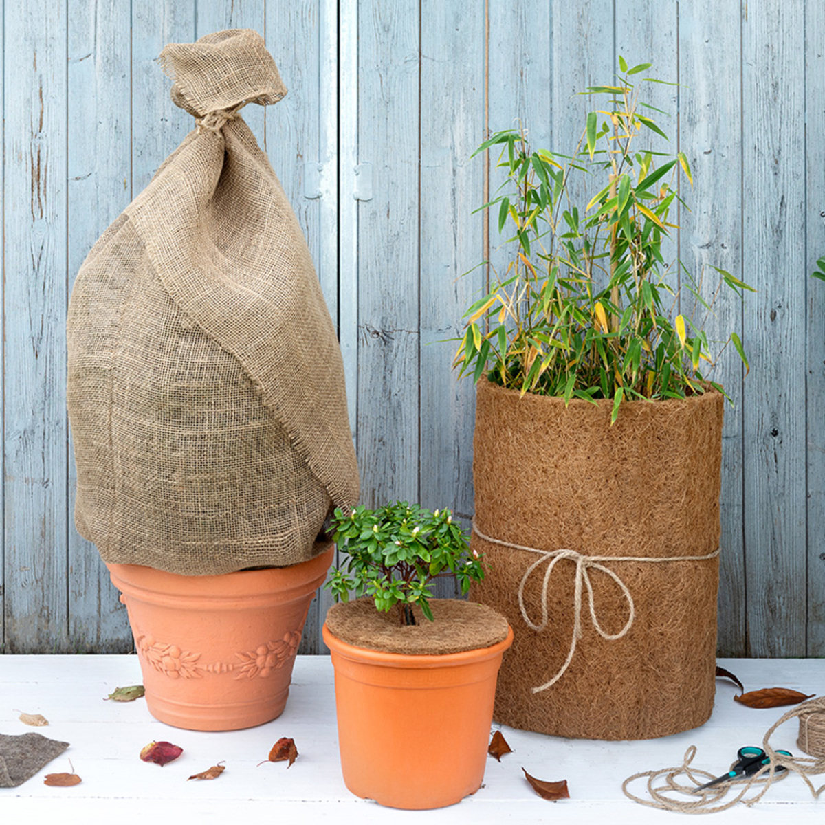 Bild 1 von Powertec Garden Jute-/ Kokos-Pflanzenschutz