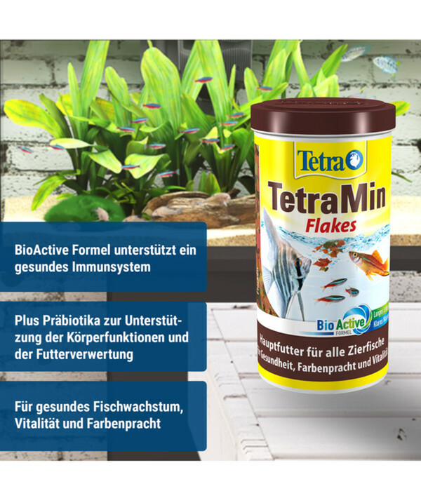 Bild 2 von Tetra Fischfutter TetraMin Flakes