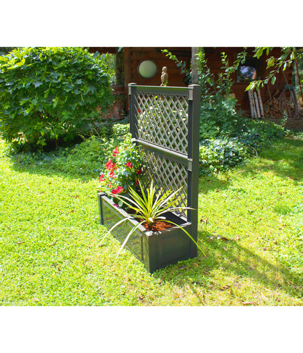 Bild 3 von KHW Kunststoff-Pflanzkasten mit Spalier, 100 x 43 x 140 cm