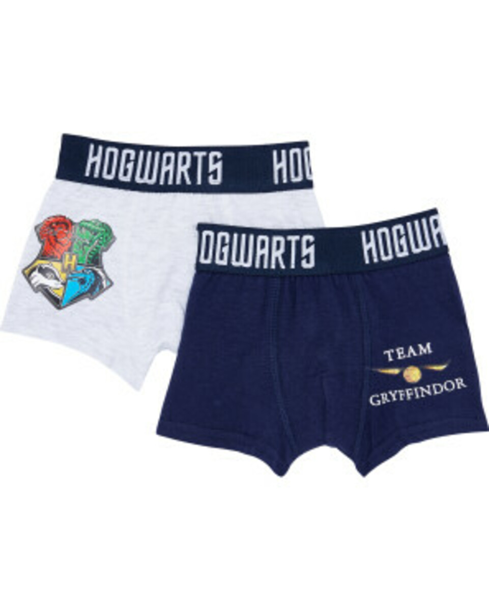 Bild 1 von Harry Potter Retro Boxershorts
       
    2 Stück Mischlizenzen verschiedene Designs
   
      dunkelblau