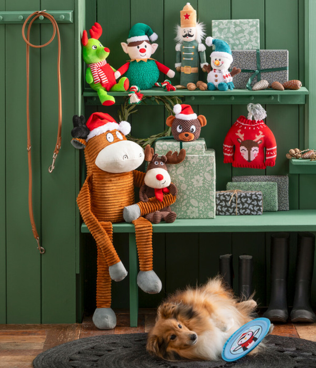 Bild 2 von Dehner Lieblinge Hundespielzeug Nutcracker, ca. B13/H34/T6 cm