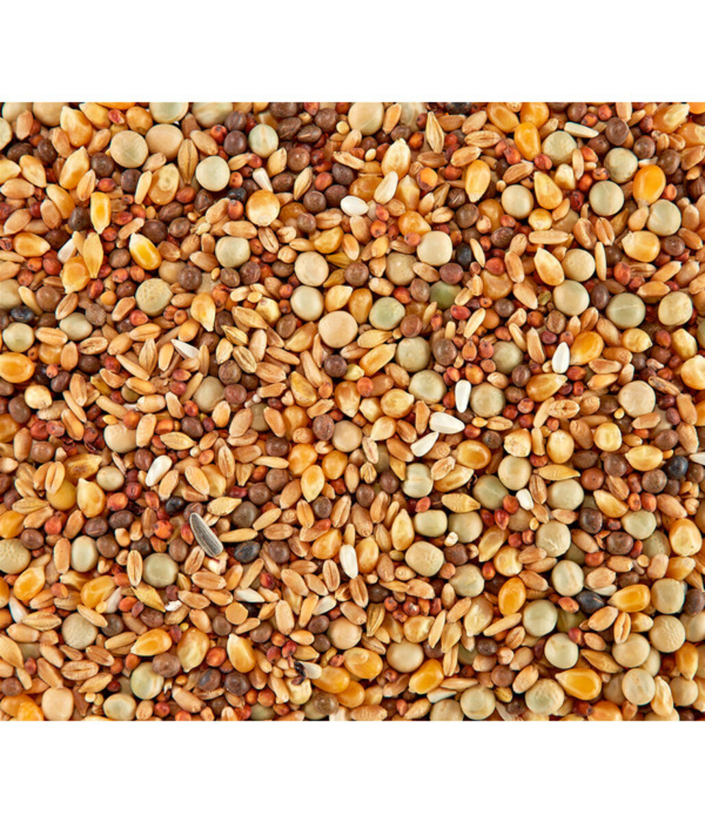 Bild 2 von Dehner Rassetauben-Futter