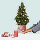 Bild 1 von Rosa Zauber mit kleiner Weihnachtsüberraschung und Mini-Grußkarte
