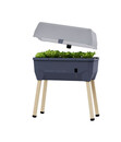 Bild 1 von Gusta Garden Mini-Hochbeet Sammy Salad, ca. B79/H95/T38 cm