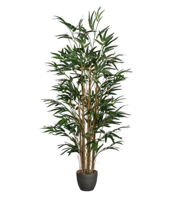 Bild 1 von Gasper Kunstpflanze Bambus, ca. H120 cm