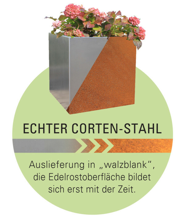 Bild 4 von Palatino Kaminholzlager Woodpecker Pro