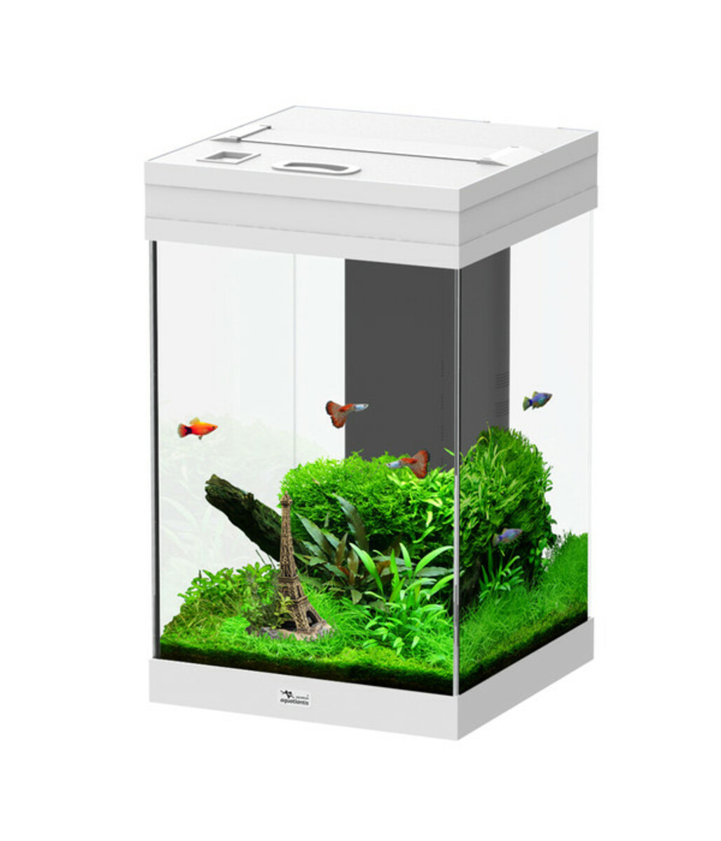 Bild 2 von aquatlantis Aquarium Aqua Tower 43