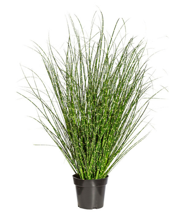 Bild 1 von Gasper Kunstpflanze Grasbusch