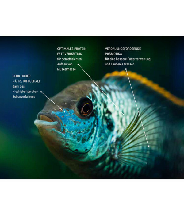 Bild 2 von Tetra Fischfutter TetraPro Colour Multi-Crisps