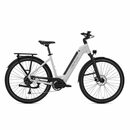 Bild 2 von DERUIZ E-Bike MICA-G 28 Zoll E-Bike 250W 80Nm Mittelmotor, 48V / 644Wh Akku, 9 Gang SHIMANO SHIMANO ALTUS, 9-Gang Schaltwerk, Kettenschaltung, Mittelmotor, 644,00 Wh Batterie, (mit Akku-Ladeger