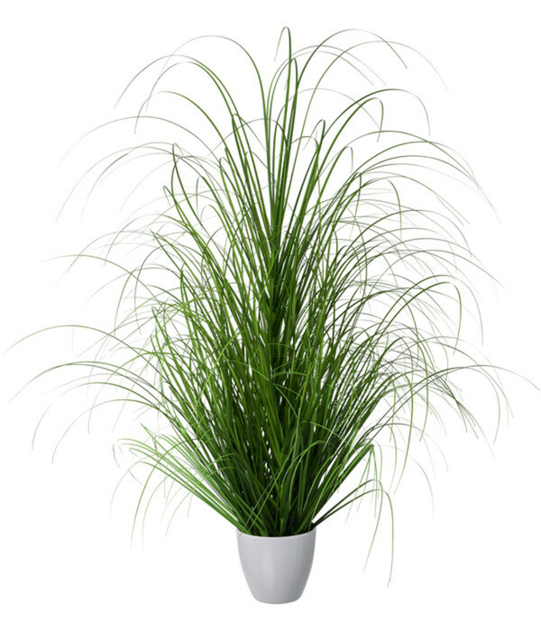 Bild 1 von Gasper Kunstpflanze Grasbusch inkl. Übertopf