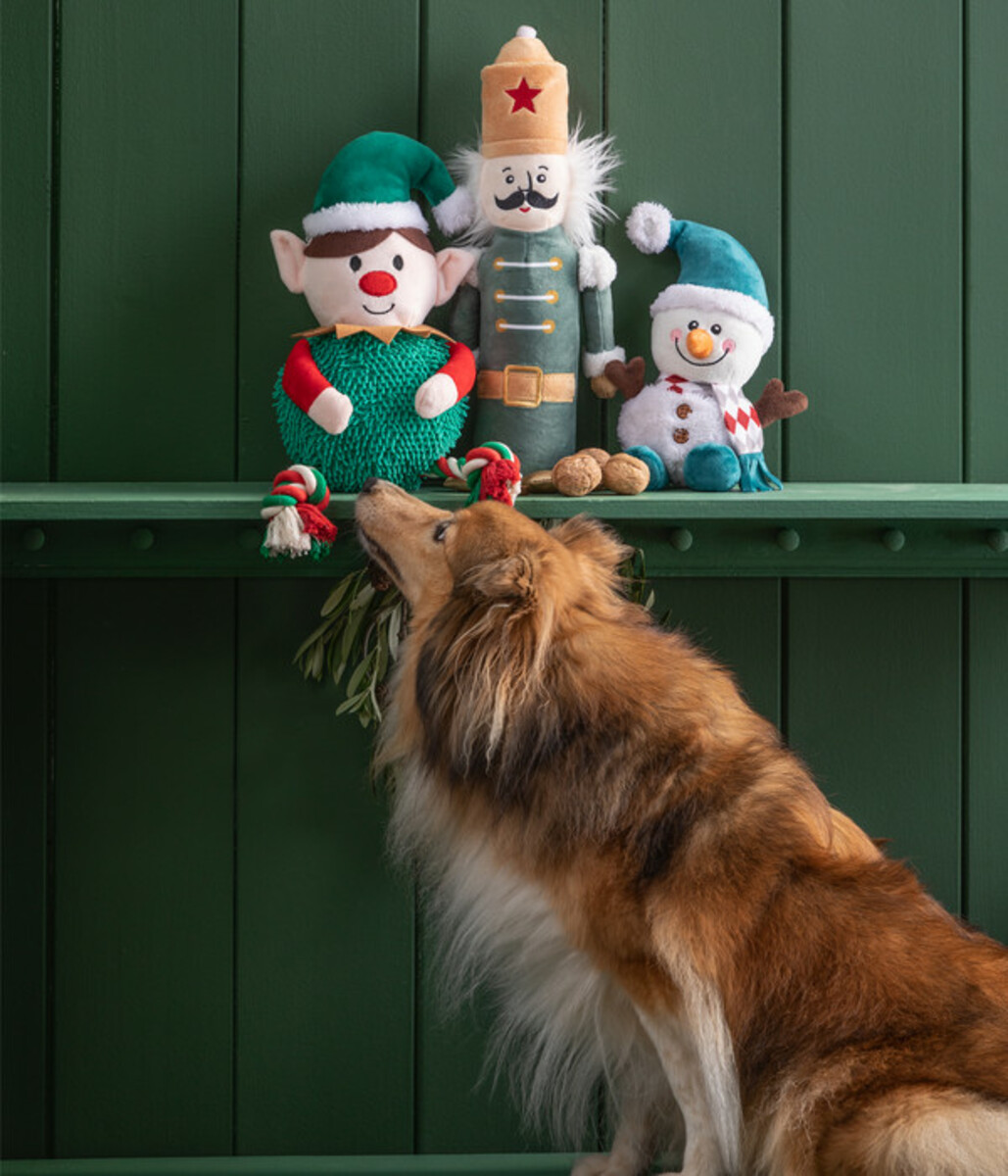 Bild 3 von Dehner Lieblinge Hundespielzeug Nutcracker, ca. B13/H34/T6 cm