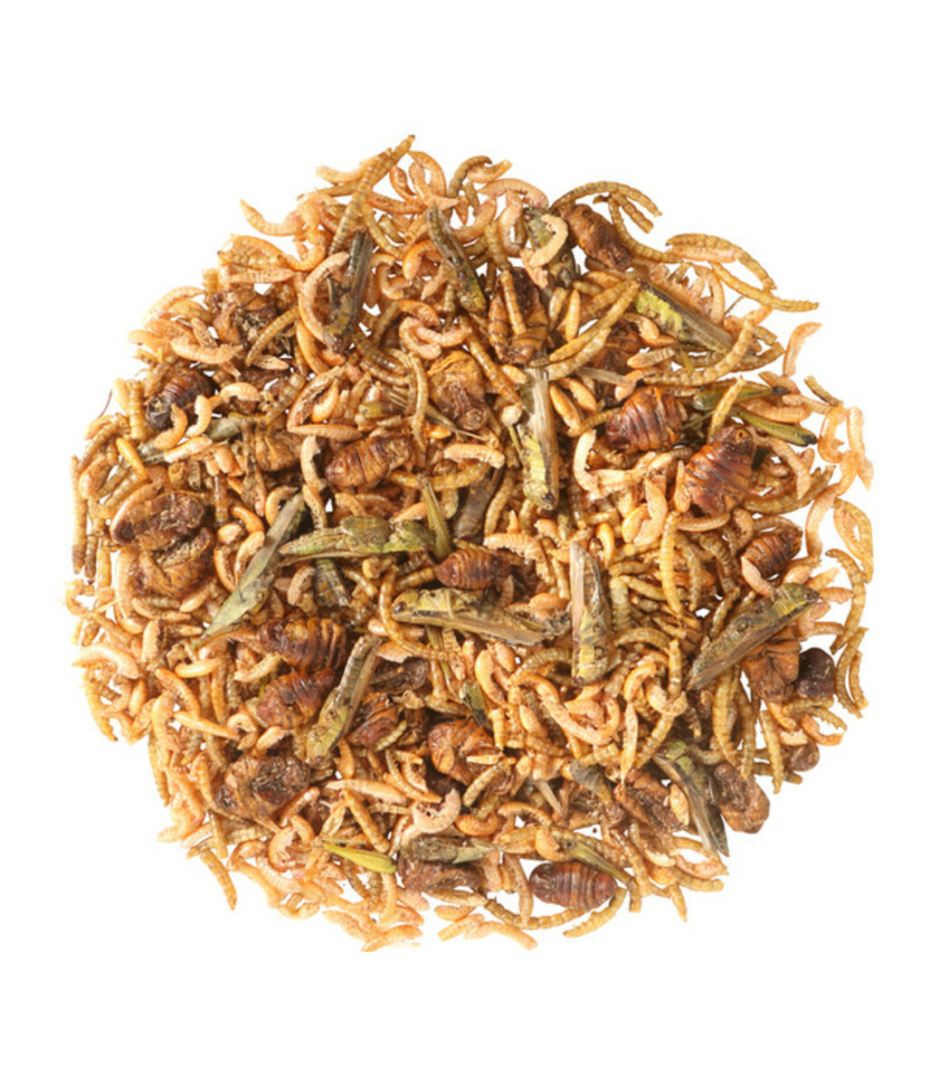 Bild 3 von Dehner Aqua Teichfischsnack Protein-Mix, 200 g