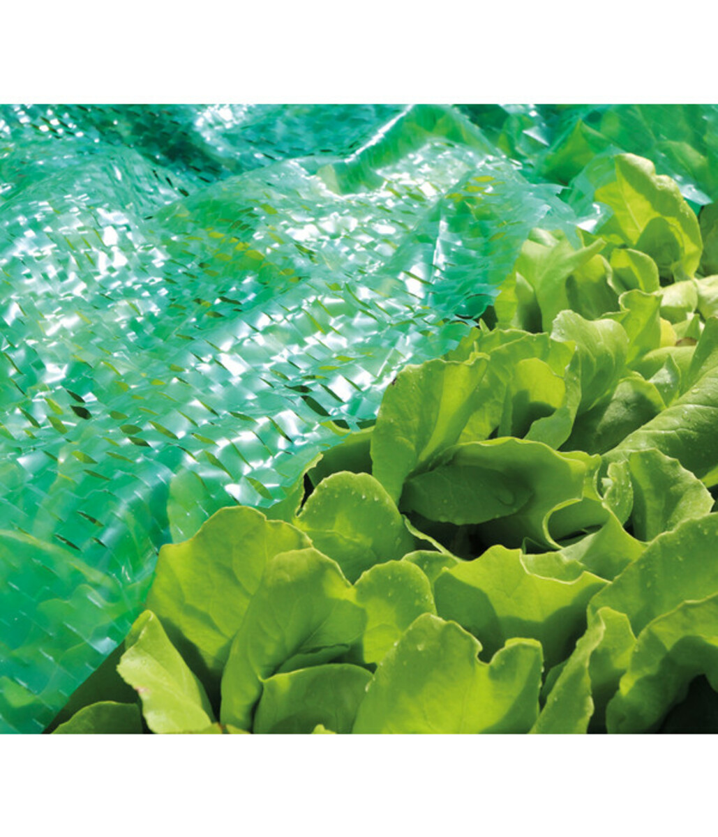 Bild 2 von Dehner Mitwachsende Frühbeetfolie, ca. L720/B140 cm