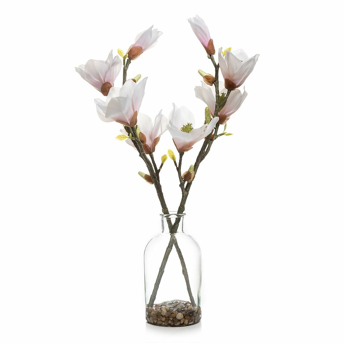 Bild 1 von ABELLA Flora künstliche Magnolien Glasvase Höhe 52cm