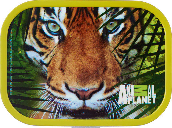 Bild 2 von MEPAL Brotdose Campus Animal Planet Tiger