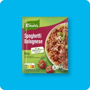 Fix KNORR® Spaghetti Bolognese