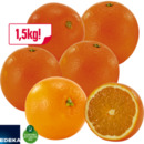 Bild 1 von Orangen