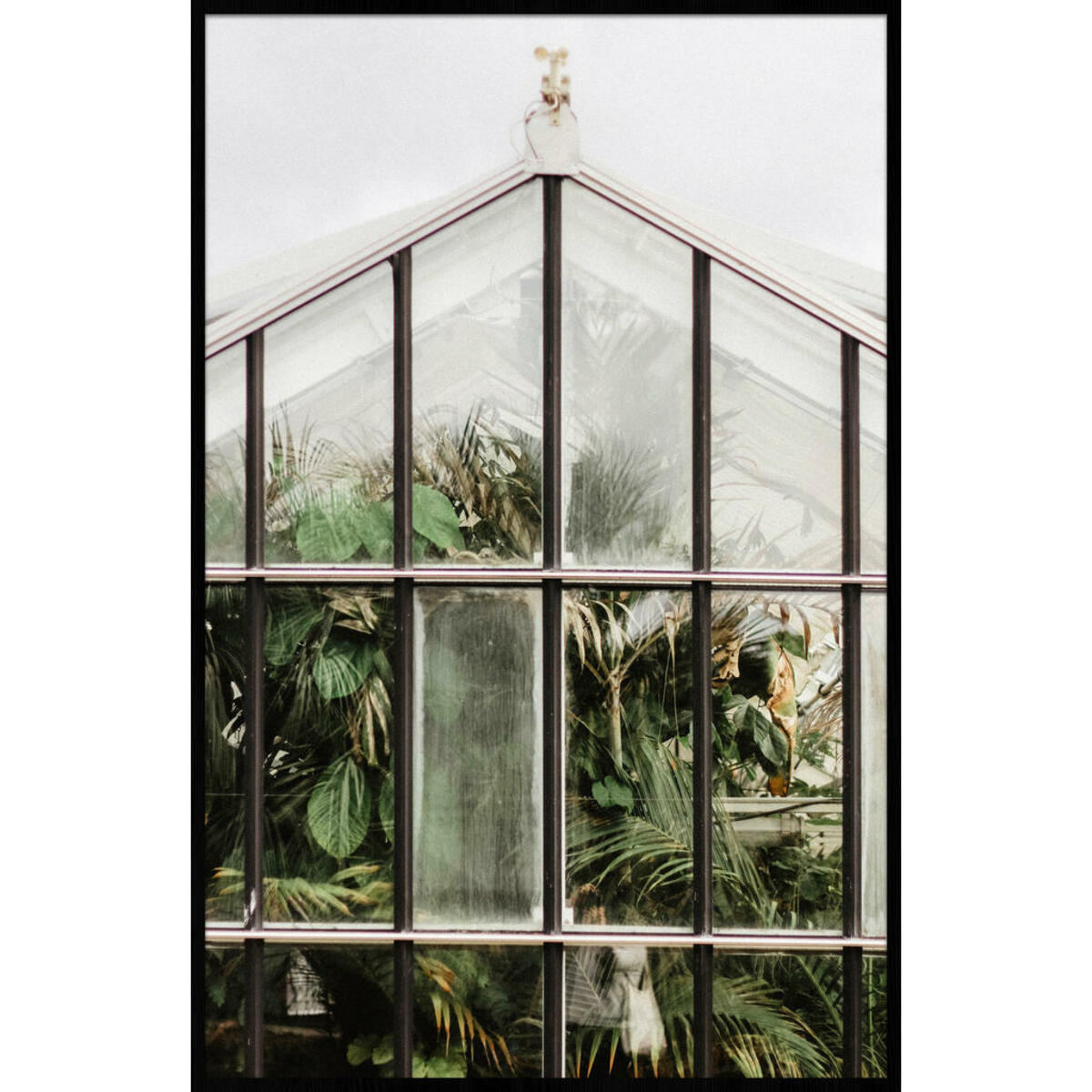 Bild 1 von Bild, Grün, Kunststoff, rechteckig, 98x148 cm, Fotografie, einfache und schnelle Anbringung, gerahmt, Bilder, Gerahmte Bilder