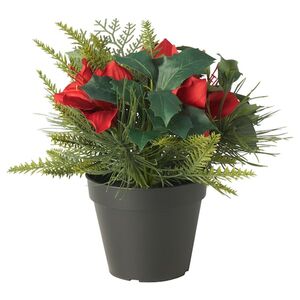 VINTERFINT  Topfpflanze, künstlich, drinnen/draußen/Arrangement rot 12 cm
