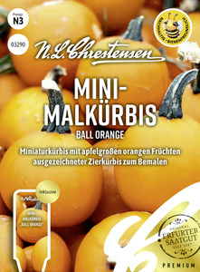 N.L.Chrestensen Saatgut Mini Malkürbis Ball Orange ca. 15 Pflanzen