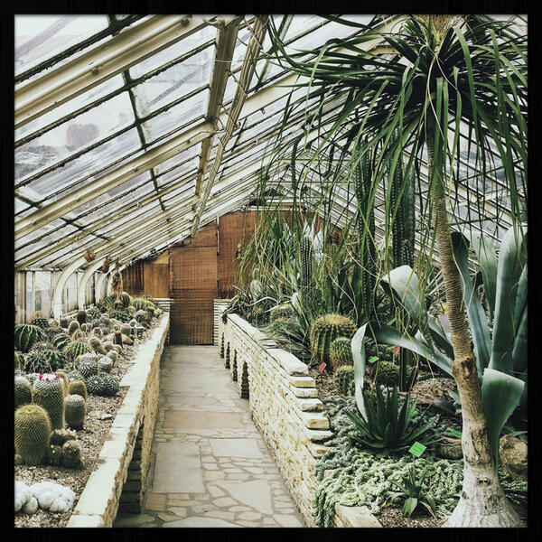 Bild 1 von Bild, Grün, Kunststoff, quadratisch, 74x74 cm, Fotografie, einfache und schnelle Anbringung, gerahmt, Bilder, Gerahmte Bilder