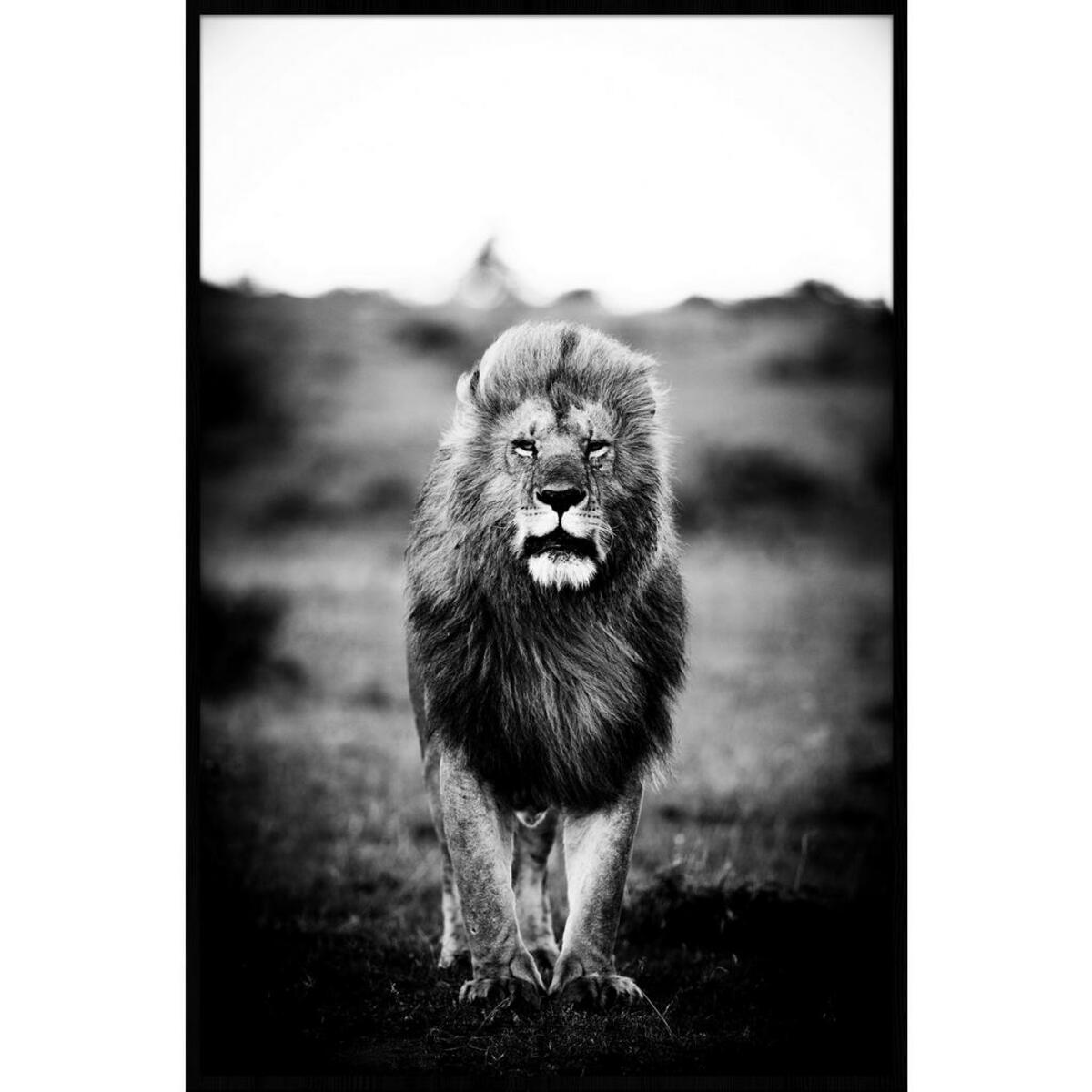Bild 1 von Bild, Schwarz, Weiß, Kunststoff, rechteckig, 90x135 cm, einfache und schnelle Anbringung, glänzend, Bilder, Gerahmte Bilder