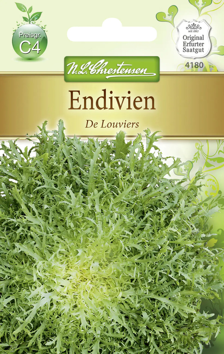 N.L.Chrestensen Saatgut Endivien ca. 400 Pflanzen von Globus Baumarkt