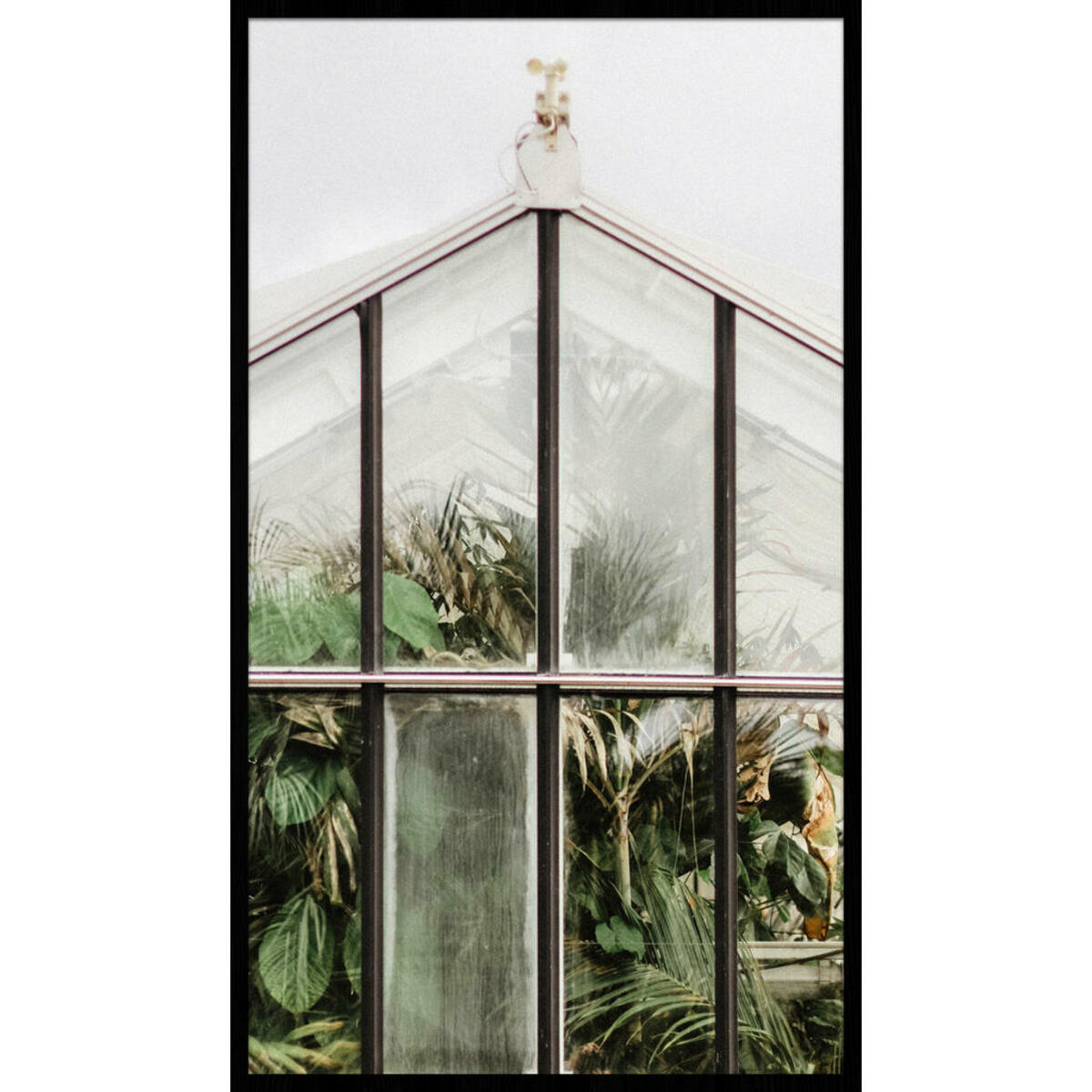 Bild 1 von Bild, Grün, Kunststoff, rechteckig, 70x118 cm, Fotografie, einfache und schnelle Anbringung, gerahmt, Bilder, Gerahmte Bilder