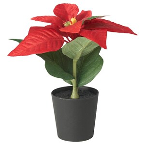 VINTERFINT  Topfpflanze, künstlich/mit Topf, drinnen/draußen Weihnachtsstern/rot 6 cm