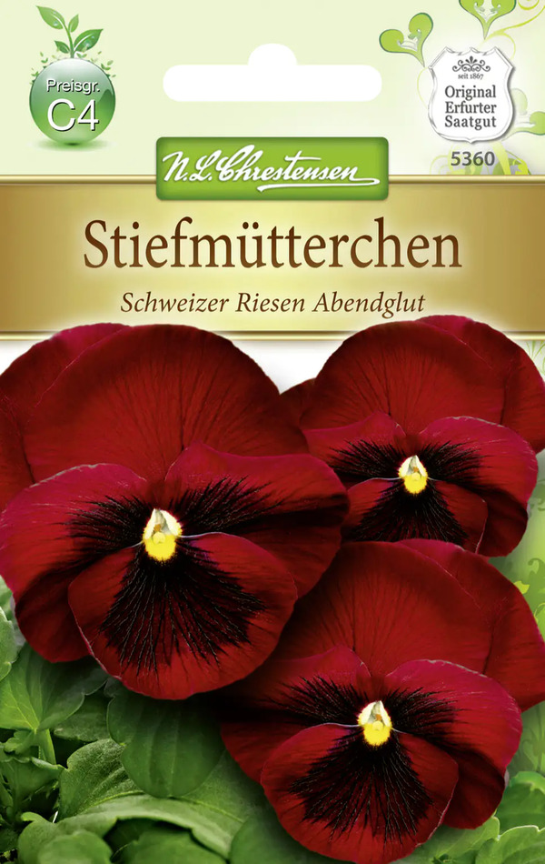 Coltivare Peperoni: I Passi Fondamentali Per Un Raccolto Abbondante - Foto 4