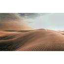 Bild 1 von Aluminiumbild, Braun, Dunkelbraun, Metall, 118x70 cm, Fotografie, einfache und schnelle Anbringung, Bilder