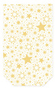 Bild 1 von Braun & Company Klarsichtbeutel Miracle Star 10er Clips Gold 11,5 x 19 cm