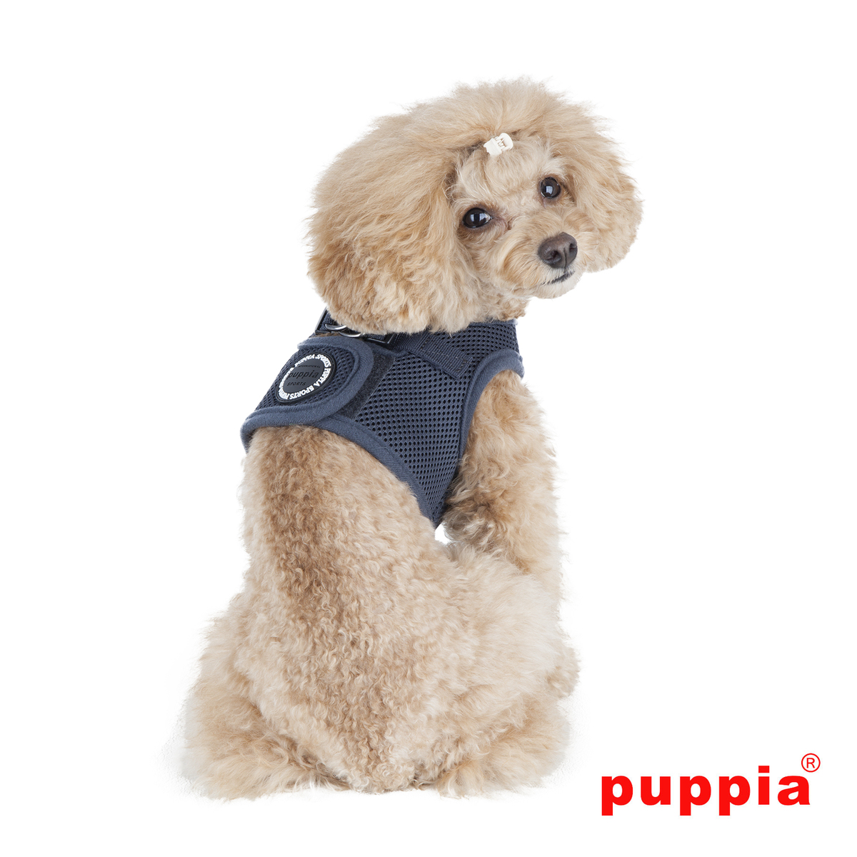 Bild 1 von Puppia Geschirr Super Soft B (Step) grau L