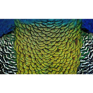 Aluminiumbild, Mehrfarbig, Metall, Kunststoff, 118x70 cm, einfache und schnelle Anbringung, Bilder