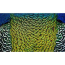 Bild 1 von Aluminiumbild, Mehrfarbig, Metall, Kunststoff, 118x70 cm, einfache und schnelle Anbringung, Bilder