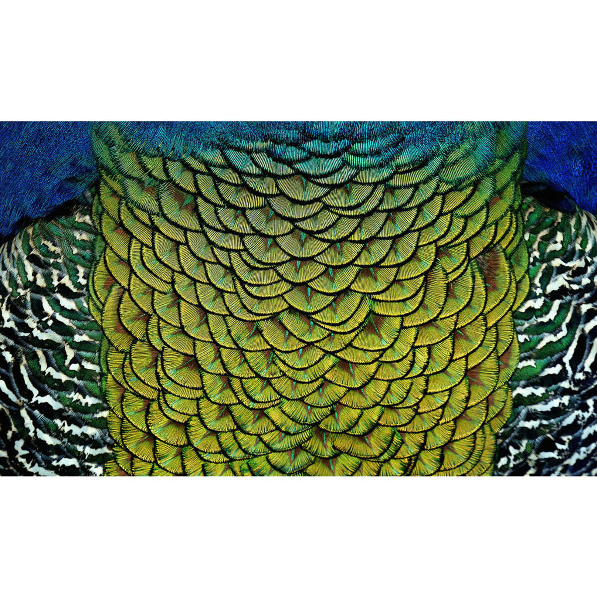 Bild 1 von Aluminiumbild, Mehrfarbig, Metall, Kunststoff, 118x70 cm, einfache und schnelle Anbringung, Bilder