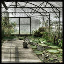 Bild 1 von Bild, Grün, Kunststoff, quadratisch, 74x74 cm, Fotografie, einfache und schnelle Anbringung, gerahmt, Bilder, Gerahmte Bilder