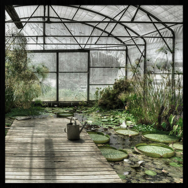 Bild 1 von Bild, Grün, Kunststoff, quadratisch, 74x74 cm, Fotografie, einfache und schnelle Anbringung, gerahmt, Bilder, Gerahmte Bilder