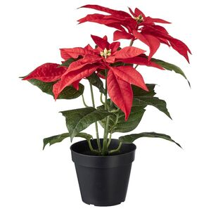 VINTERFINT  Topfpflanze, künstlich, drinnen/draußen Weihnachtsstern/rot 12 cm