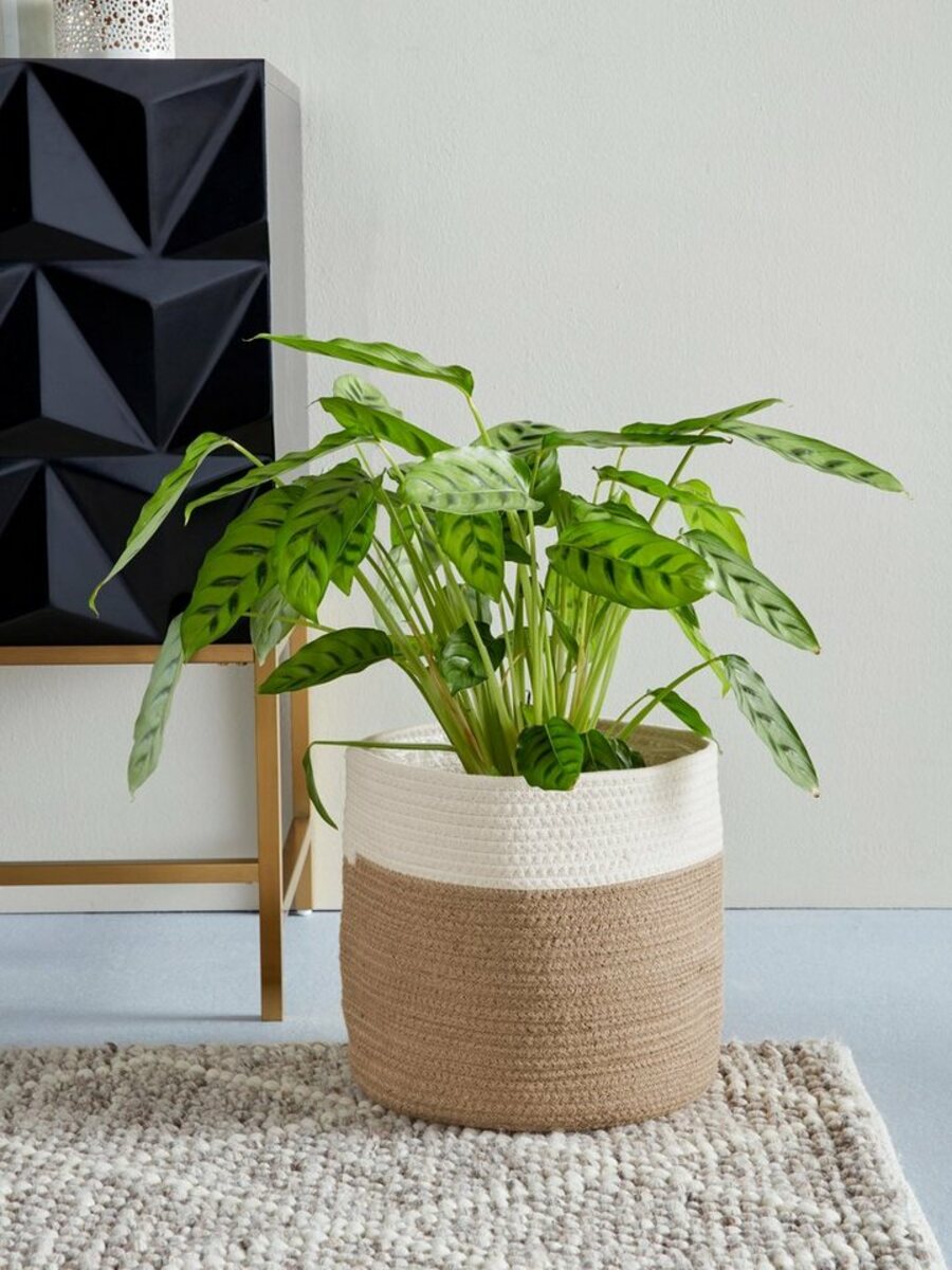 Bild 1 von Guido Maria Kretschmer Home&Living Übertopf Ilsi (1 St), aus Baumwolle